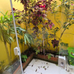 Sobrado à venda com 3 quartos, sendo 1 suíte, em Vila Clarice, São Paulo, SP