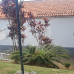 Casa à venda com 5 suítes em Roseira, Mairiporã, SP