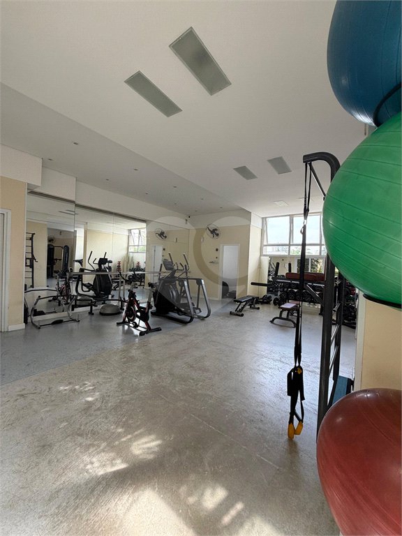 Apartamento à venda com 3 quartos, sendo 1 suíte, em Jardim Aeroporto, São Paulo, SP