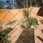 Sobrado à venda com 5 suítes em Juqueri Mirim, Mairiporã, SP