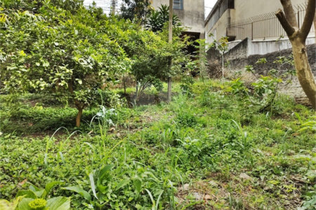Terreno à venda em Vila Gustavo, São Paulo, SP