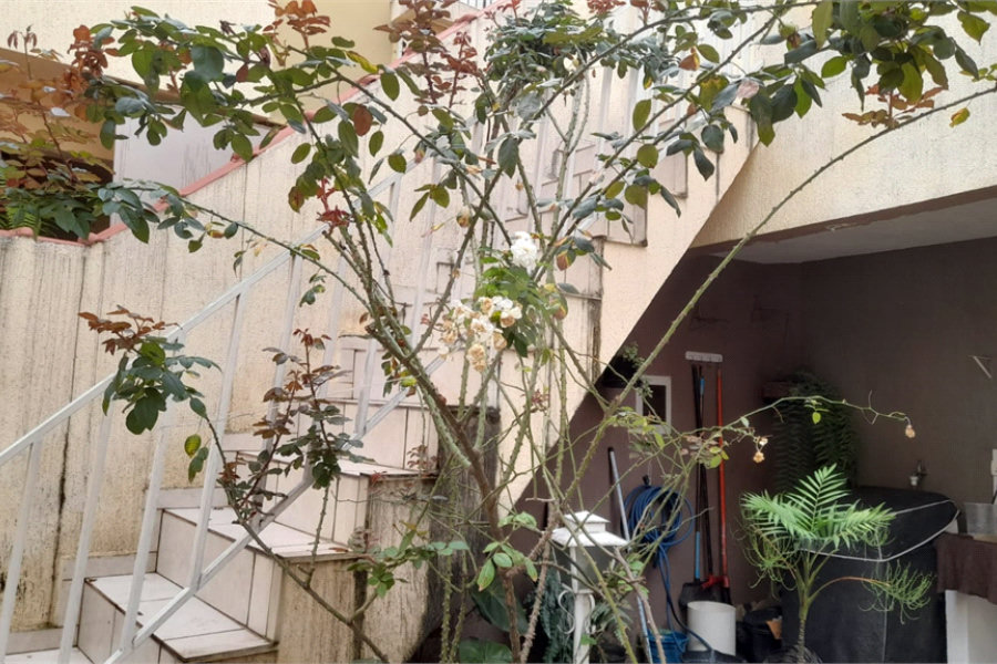 Sobrado à venda com 5 quartos, sendo 1 suíte, em Mandaqui, São Paulo, SP