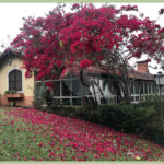 Chácara à venda com 3 quartos, sendo 1 suíte,  em Recanto Flora (mailasqui), São Roque, SP