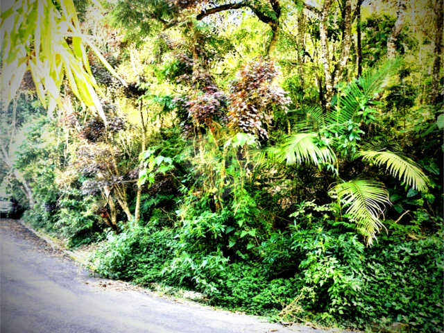 Terreno à venda em Serra da Cantareira, Mairiporã, SP