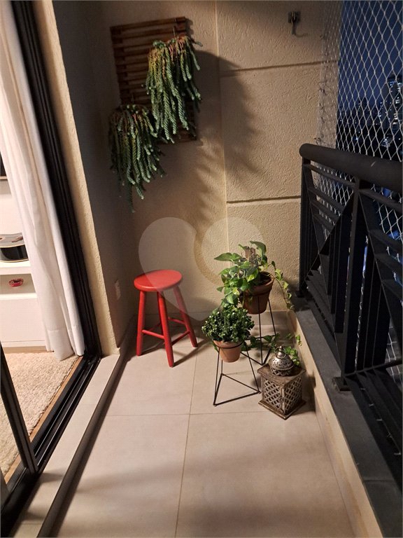 Apartamento à venda com 3 quartos, sendo 1 suíte, em Mandaqui, São Paulo, SP