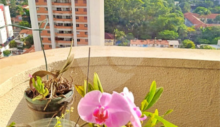 Apartamento à venda ou para alugar com 2 quartos em Chácara Santo Antônio (zona Sul), São Paulo, SP