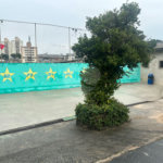 Sobrado à venda com 3 quartos em Lauzane Paulista, São Paulo, SP