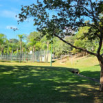 Casa à venda com 4 suítes no condomínio Portal da Vila Rica, Itu - SP