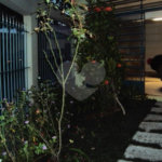 Sobrado à venda com 4 quartos, sendo 2 suítes, em Jardim Peri Peri, São Paulo, SP
