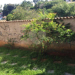 Sobrado à venda com 3 suítes em Vila Irmãos Arnoni, São Paulo, SP
