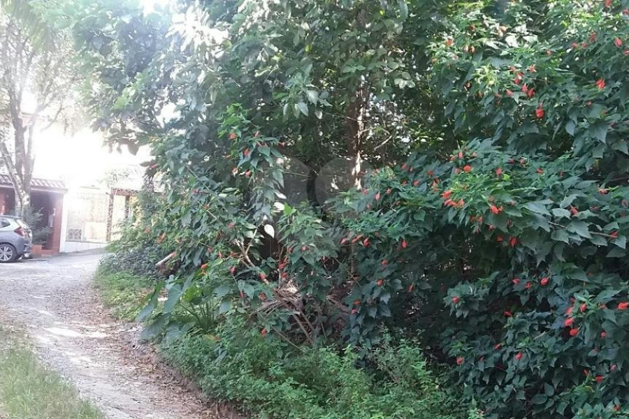 Terreno à venda em Tremembé, São Paulo, SP