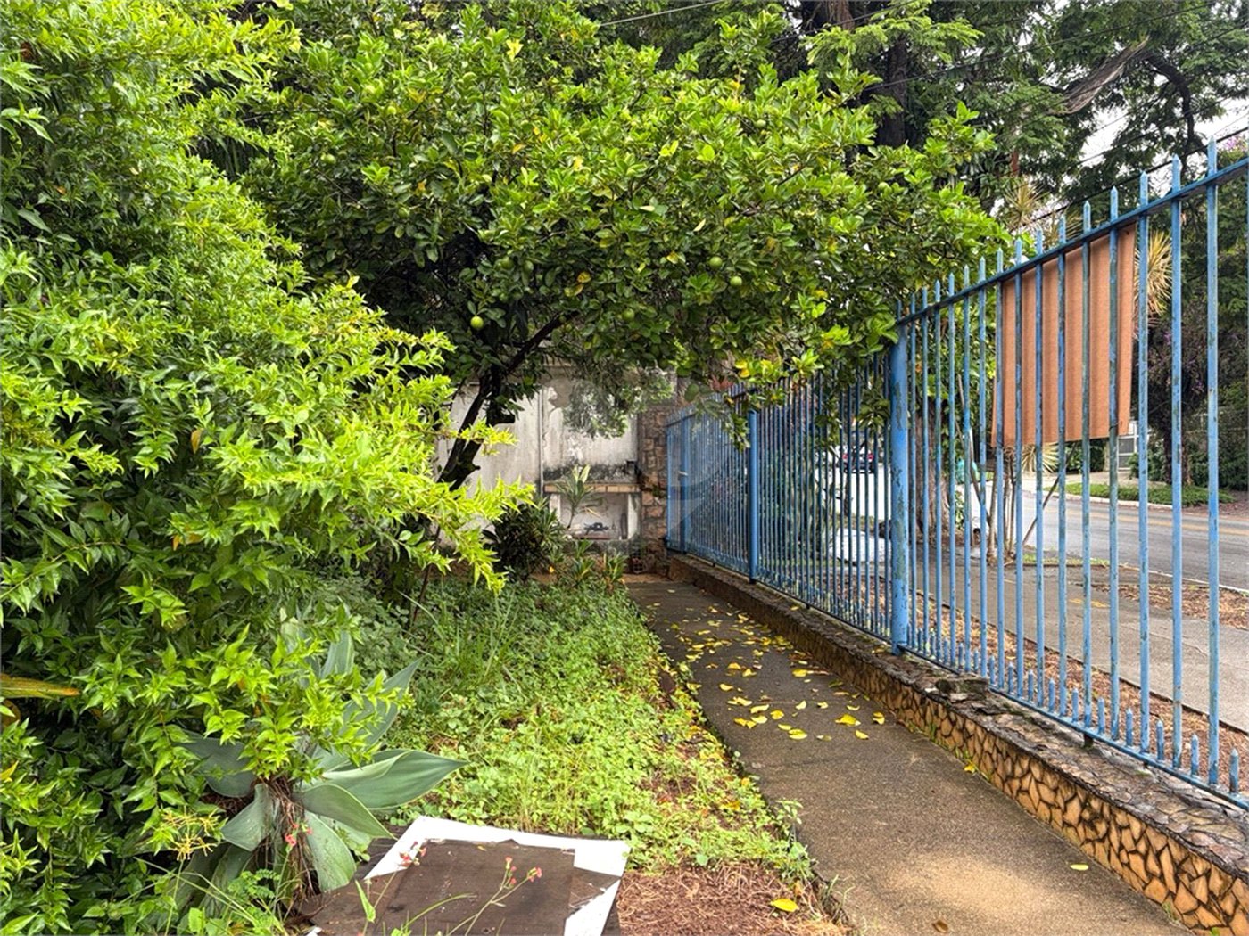 Casa à venda com 3 quartos em Bela Aliança, São Paulo, SP