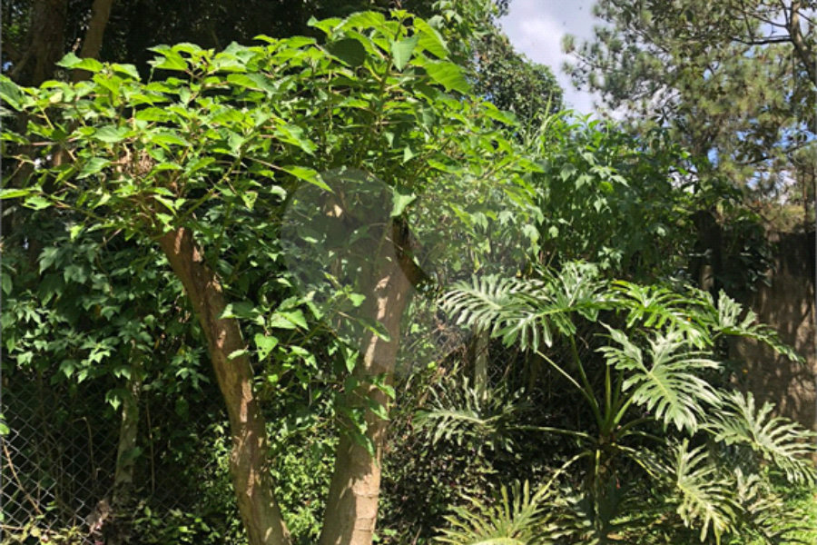 Terreno à venda em Serra da Cantareira, Mairiporã, SP