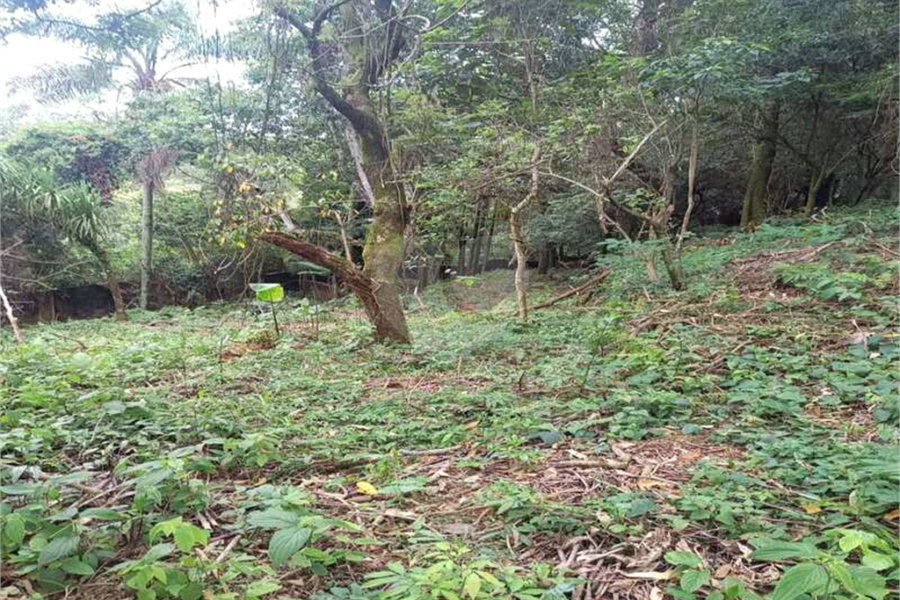 Terreno à venda no condomínio Associação Reserva das Hortênsias, Mairiporã - SP