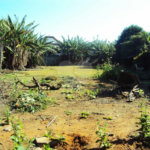 Terreno à venda em Interlagos, São Paulo, SP