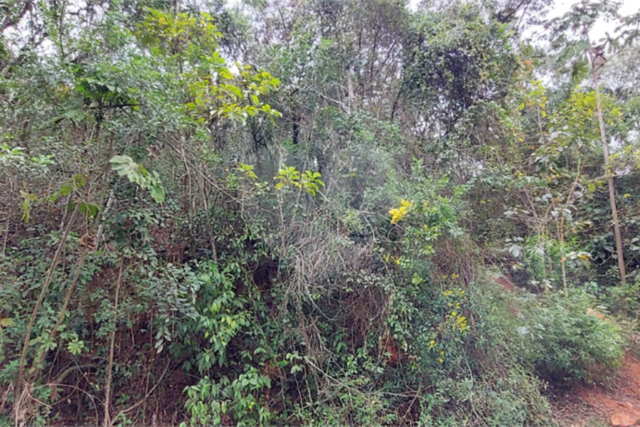 Terreno à venda em Samambaia, Mairiporã, SP