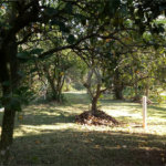 Chácara à venda com 8 quartos em Loteamento Chácara Val Paraiso, Atibaia, SP