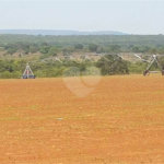 Fazenda à venda com 2 quartos em Canabrava, João Pinheiro, MG
