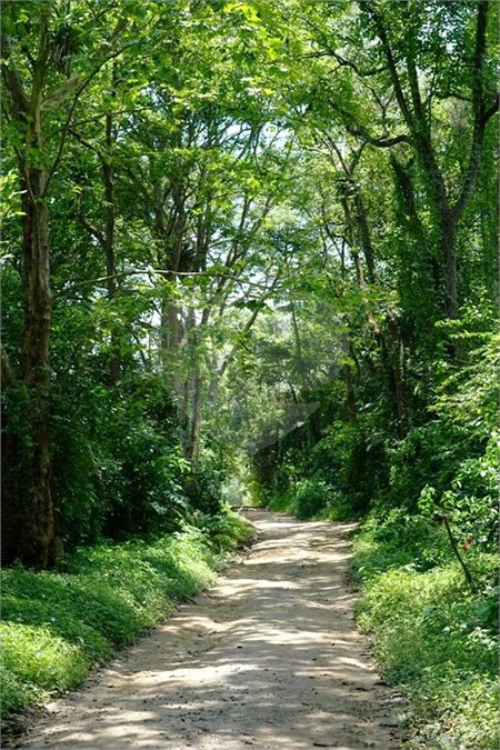 Terreno à venda em Guarapiranga, São Paulo, SP