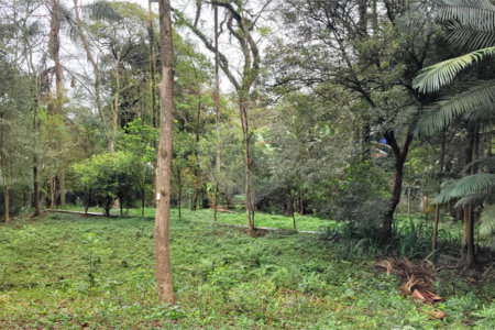 Casa à venda com 4 suítes no condomínio Chácara Flora, São Paulo - SP
