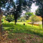 Terreno à venda em Tremembé, São Paulo, SP