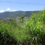 Terreno à venda em Luiz Fagundes, Mairiporã, SP
