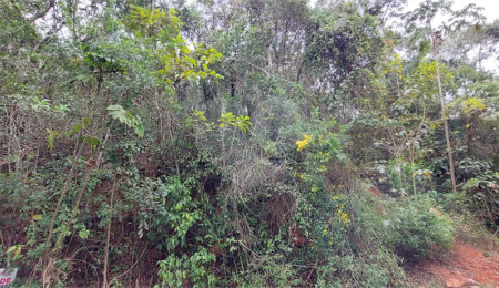 Terreno à venda em Samambaia, Mairiporã, SP