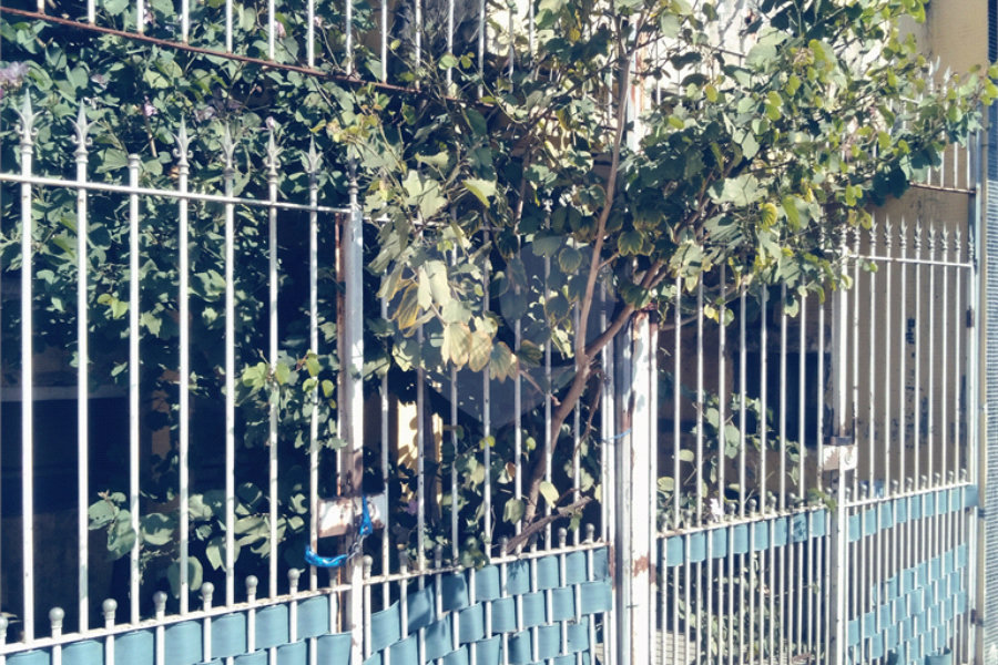 Casa Térrea à venda com 2 quartos em Vila Nova Cachoeirinha, São Paulo, SP