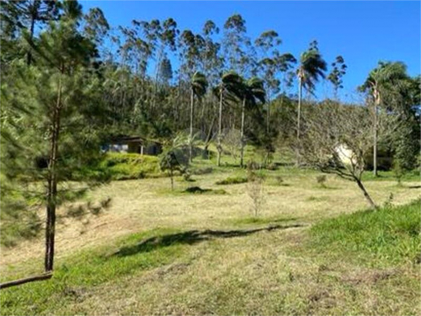 Sítio à venda com 2 quartos, sendo 1 suíte, em Ibiúna, Ibiúna, SP