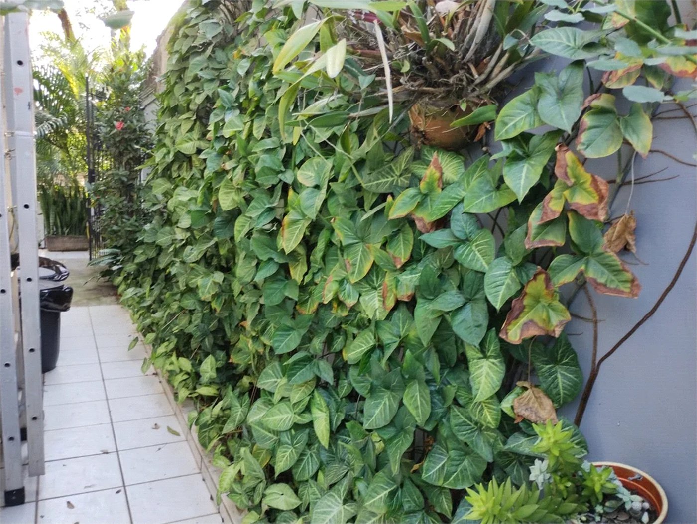 Casa de Vila à venda com 3 suítes em Jardim Londrina, São Paulo, SP