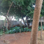 Apartamento para alugar com 3 quartos, sendo 1 suíte, em Perdizes, São Paulo, SP