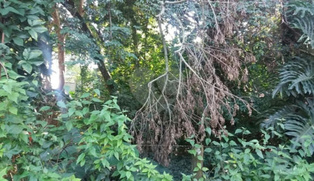 Terreno à venda em Tremembé, São Paulo, SP