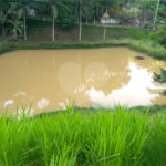 Chácara à venda com 1 suíte em Chácaras Vista Alegre, Arujá, SP