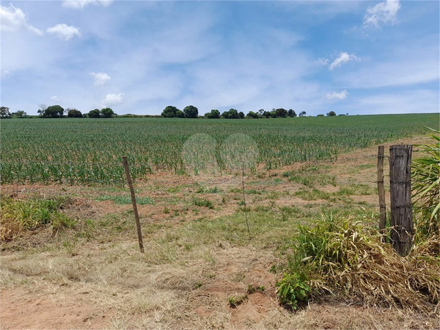 Área de Terra à venda em Paraíso das Aves, Itatiba, SP