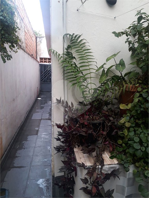 Sobrado à venda com 5 quartos, sendo 1 suíte, em Vila Guilherme, São Paulo, SP