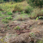 Terreno à venda em Monterrey, Louveira, SP