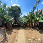 Terreno à venda em Lajeado, São Paulo, SP