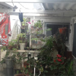 Casa à venda com 3 quartos em Jardim Regina, São Paulo, SP