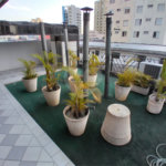 Apartamento à venda com 1 suíte em Santana, São Paulo, SP