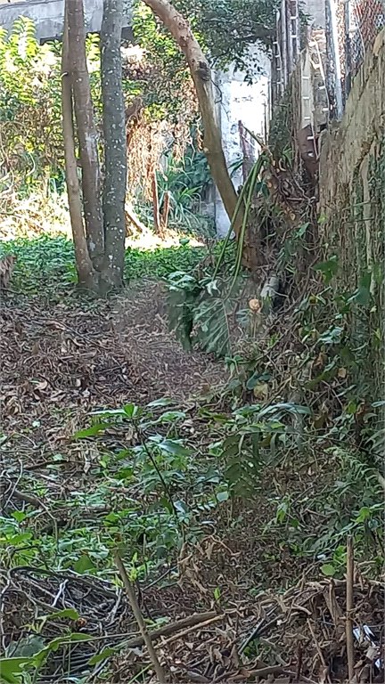 Terreno à venda em Vila Tramontano, São Paulo, SP