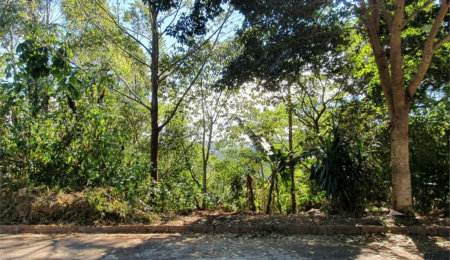 Terreno à venda em Caraguatá, Mairiporã, SP
