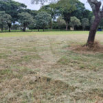 Loteamento Residencial no Condomínio Vila Pinhal do Broa.