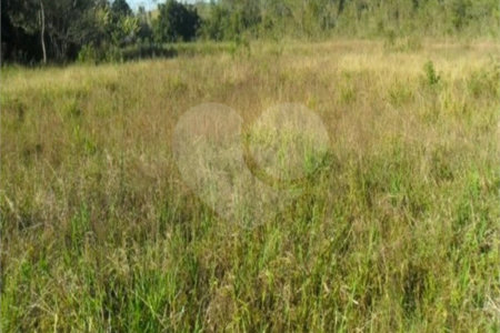 Terreno Cocuera 98.000 m² Mogi das Cruzes SP localizado no cinturão industrial de Mogi das Cruzes