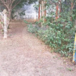 Casa á venda - Jabaquara