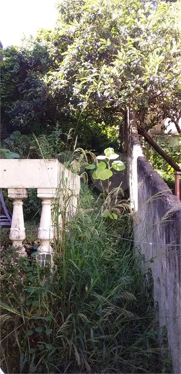 Terreno para alugar em Água Fria, São Paulo, SP