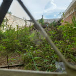 Terreno à venda no Jardim Hikare – São Carlos/SP
