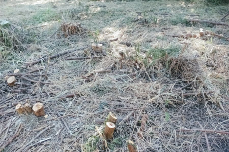 Terreno de 760m² Totalmente plano. Bairro Loteamento Vale das Flores, Atibaia, SP