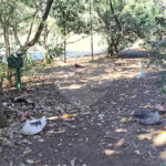 Terreno à venda no Parque Fehr – Segurança, qualidade de vida e natureza em perfeita harmonia!