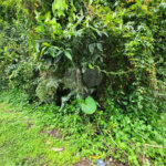 Terreno à venda em Riviera de São Lourenço, Bertioga, SP