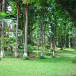 Casa Térrea à venda com 5 quartos, sendo 3 suítes, em Interlagos, São Paulo, SP